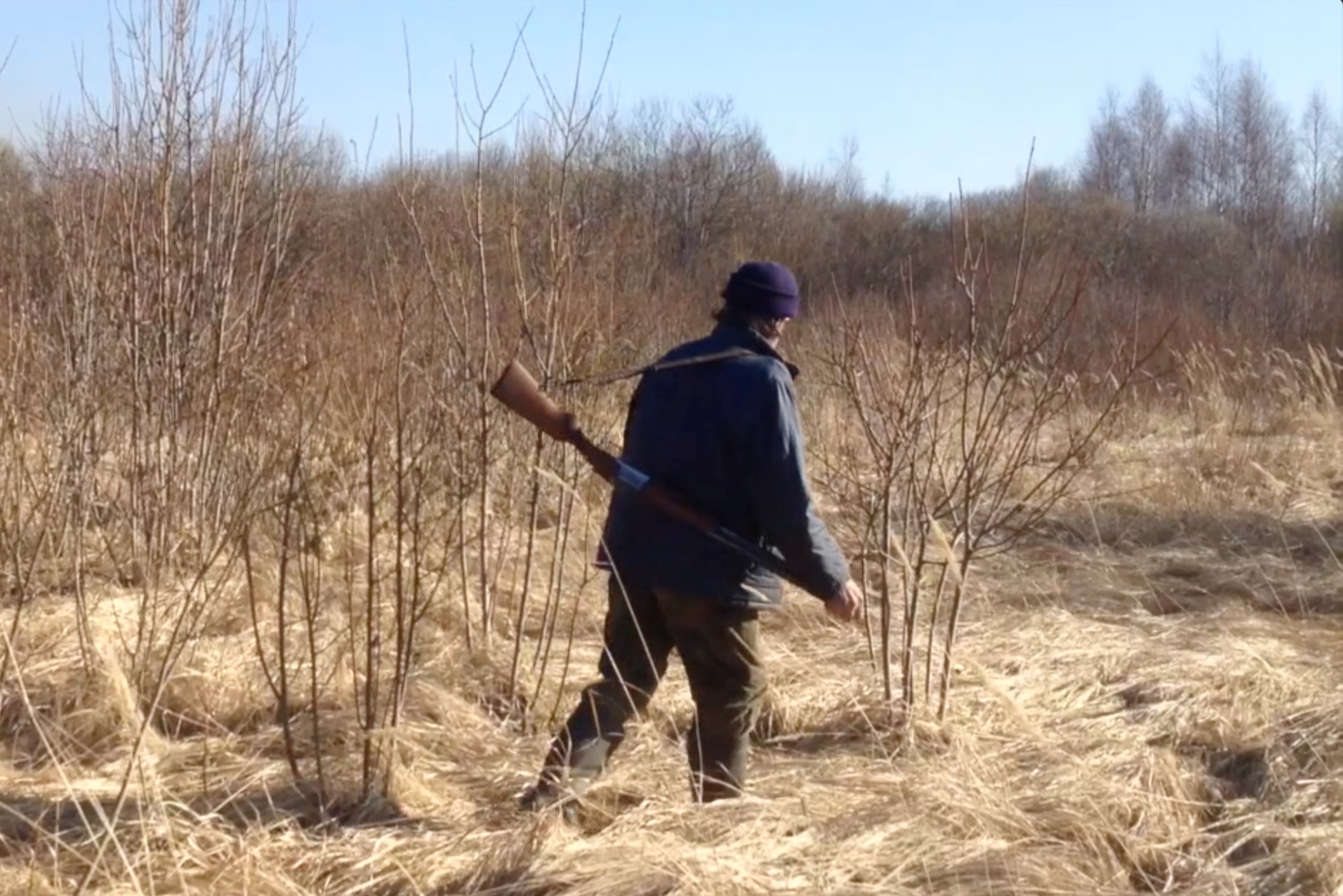 Охота на тетерева весной